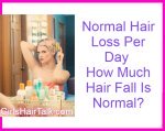 Normal-Hair-Loss-Per-Day-Brush-Comb-Wash-Shampooing.jpg