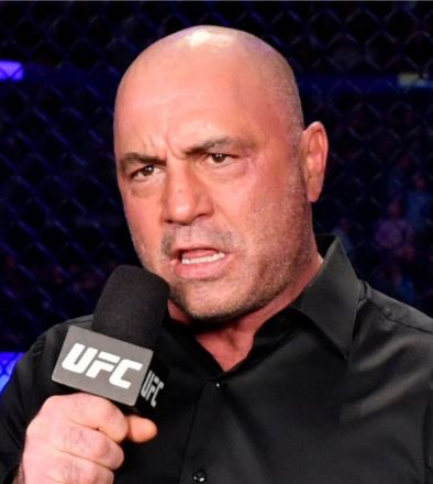 joe-rogan-ufc